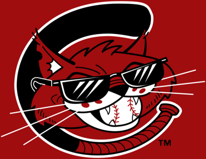 Charleston Alley Cats