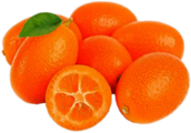 Fresh Kumquat