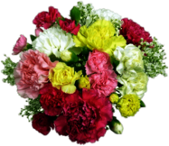 Classic Carnations Bouquet