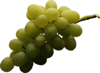 Isolated White Grape