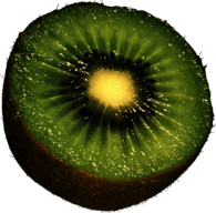 Open Kiwi