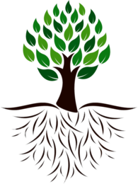 Tree and Roots Colour Illustration