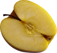 Apple Cameo Yellow Open