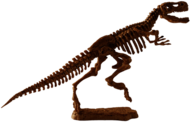 T-Rex Fossil