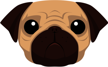 Pug