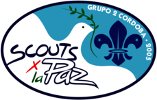Scouts por la Paz