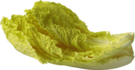 Salad Leaf
