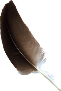 Feather Brown
