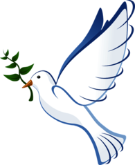 Peace Dove