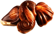 Guylian Chocolate Seashells