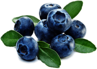 Blueberries and Leaves