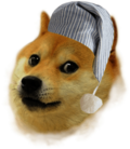 Sleepy Doge