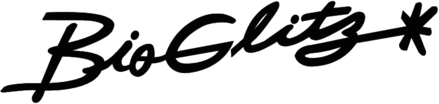 Bio Glitz