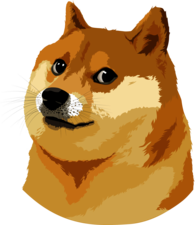 Doge Vector Illustration