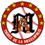 Tigres de la Angelopolis