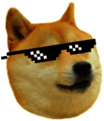 Doge Deal With It
