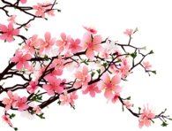 Japanese Flowers on Tree