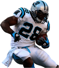 Carolina Panthers Player Stewart