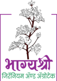 Bhagyashree Geranium  2 By Fusion Arts - Graphic Designing Cafe
