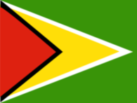 Flag of Guyana