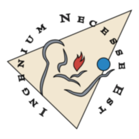 Ingenium Necesse Est