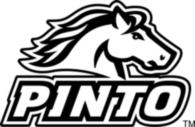 Pinto