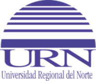 Universidad Regional Del Norte