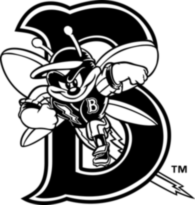 Binghamton Mets 58216