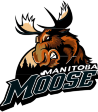 Manitoba Moose