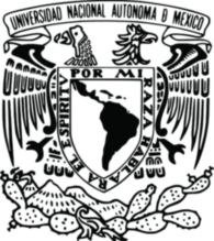 National Autonomous University Of Mexico