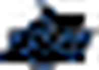 Nova Southeastern Sharks