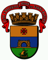 BRASÃO DA CIDADE DE MANHUAÇU