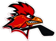 Charleroi Red Roosters Hockey Team 