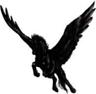 Black Pegasus