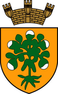 Bormla Local Council