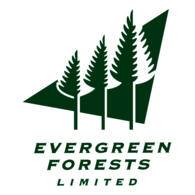 Evergreen Forests