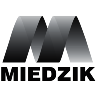Miedzik