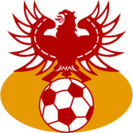 Go Ahead Eagles Deventer (90's logo)