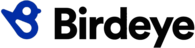 Birdeye logo landscape