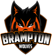 Brampton Wolves Cricket Team 