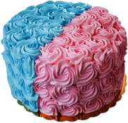Gender Revealing Cake Pink and Blue Rosettes