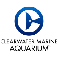 Clearwater Marine Aquarium