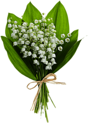 Bouquet of Lily of the Valley flowers