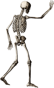Walking Skeleton Waving His Hand