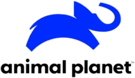 Animal Planet 