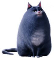 The Secret Life Of Pets Chloe