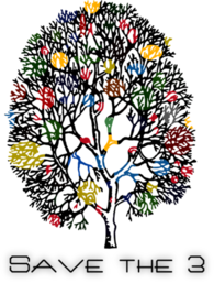 Save the 3