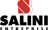 Salini