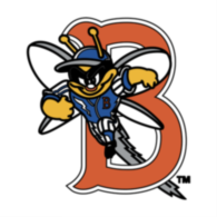 Binghamton Mets