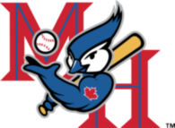 Medicine Hat Blue Jays
